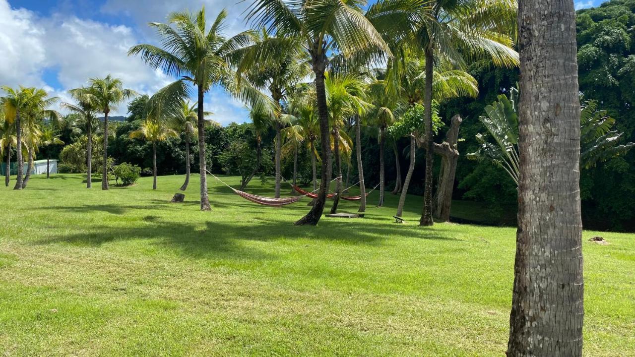 Grenade Studio Les Pieds Dans L'Eau Et Vue Mer Caraibes Dans Une Magnifique Residence De Vacances Sainte-Luce Εξωτερικό φωτογραφία