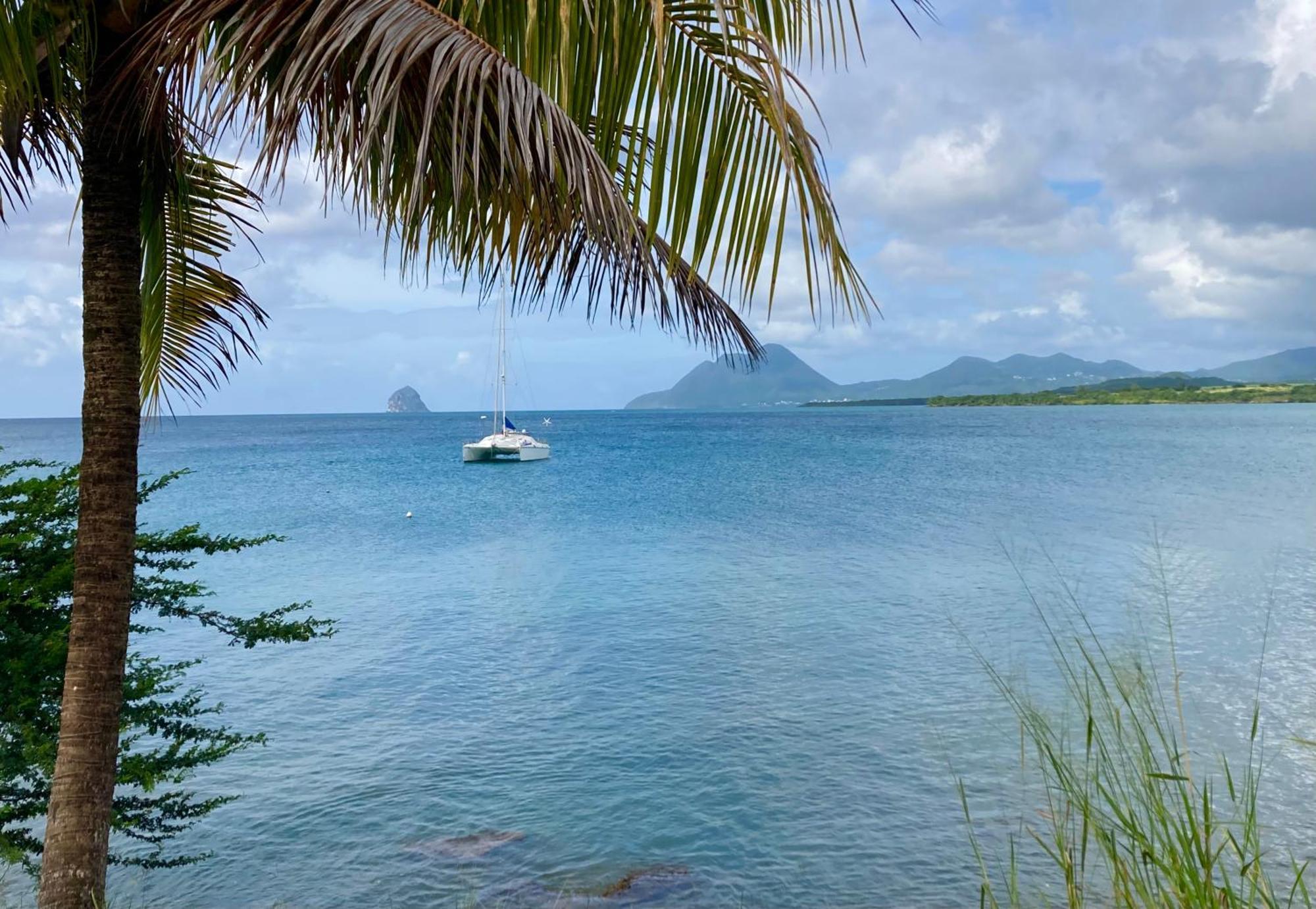 Grenade Studio Les Pieds Dans L'Eau Et Vue Mer Caraibes Dans Une Magnifique Residence De Vacances Sainte-Luce Εξωτερικό φωτογραφία